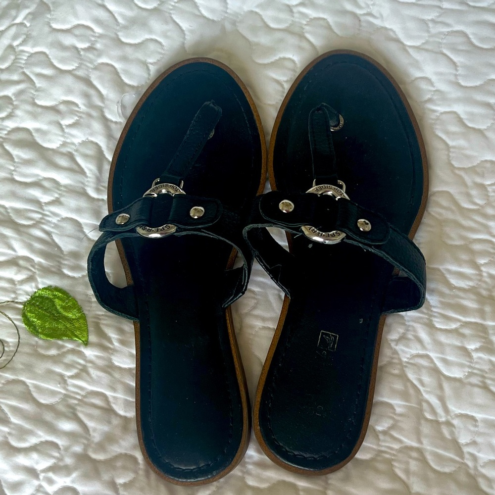 Sperry Top Sider Carolina leather thong sandal